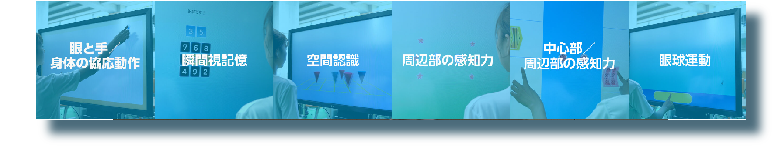 眼と手、身体の協応動作・瞬間視視記憶・空間認識・周辺部の感知力・中心部／周辺部の感知力・眼球運動